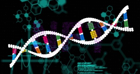 On play, DNA helix waving and rotating while base pairs changing color, code scrolling showing data © vectorfusionart