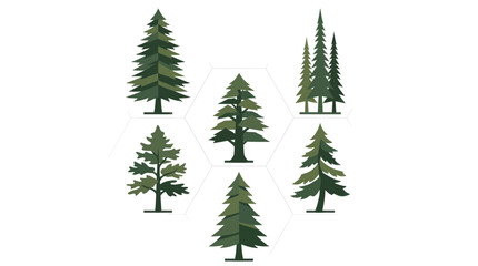 Variety of green coniferous trees collection © Golden