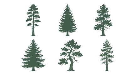 Obraz premium Variety of evergreen tree silhouettes