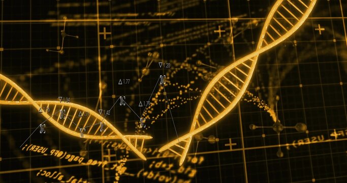 Golden DNA helices shifting and rotating on diagnostic start, forming HUD graph nodes for analysis