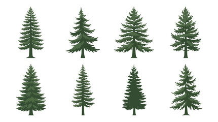 Obraz premium Various evergreen tree illustrations