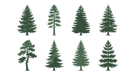 Obraz premium Various evergreen tree illustrations