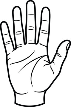 Human Hand with Six Fingers Polydactyly Medical Condition Outline Vector Illustration for Genetic Variations Anatomical Studies and Science Textbook Diagrams
