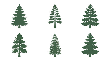 Obraz premium Various evergreen tree silhouettes