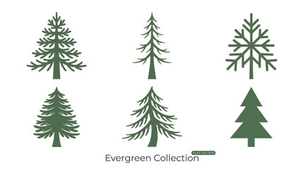Obraz premium Various evergreen tree silhouettes