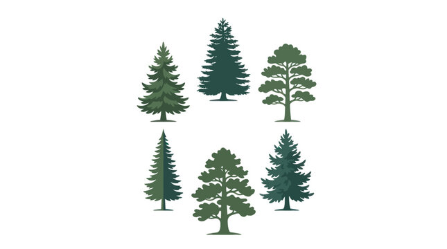 Various evergreen trees collection