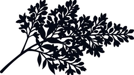 Fototapeta premium Black flower silhouette of a blooming botanical branch on a white background