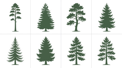 Obraz premium Various evergreen tree silhouettes