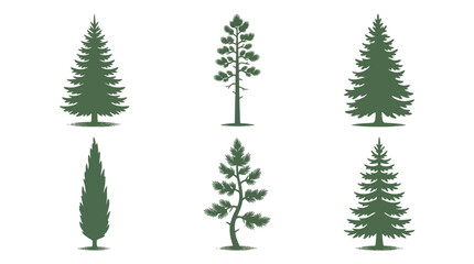 Fototapeta premium Various evergreen tree silhouettes