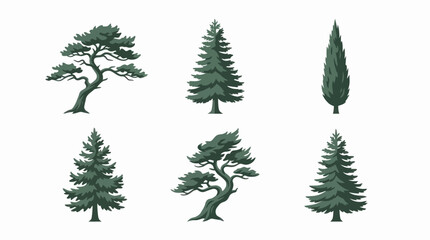 Obraz premium Various evergreen trees collection