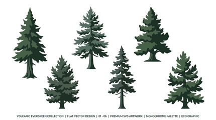 Obraz premium Various evergreen trees flat vector design