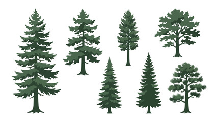 Various green coniferous and deciduous trees © Riski