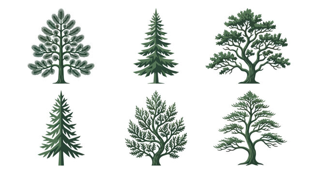 Various green trees collection