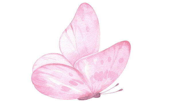 Elegant pastel pink watercolor butterfly with soft artistic details isolated on a clean white background. Perfect for invitations, stationery, nursery decor, and spring-inspired designs.