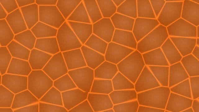 Abstract Orange Cells.