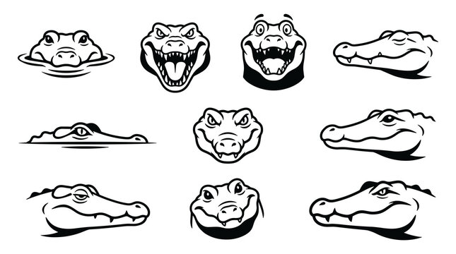 Set of stylized line art reptile heads including alligator, crocodile, and frog faces, presented in a grid on a white background, vector illustration