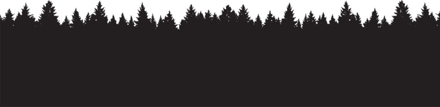 Black silhouette of a dense pine forest border with evergreen spruce trees in a horizontal line isolated on transparent background, Vector