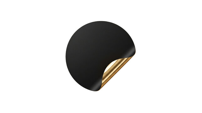 Modern black and gold wall light fixture