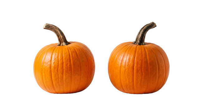 Two small orange pumpkins on black background