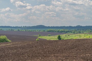 Fototapeta premium Freshly plowed agricultural field under a cloudy sky