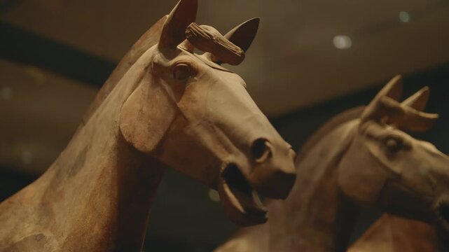 Terracotta horses in old Chinese City, Xi'an, China, historical landmarks. Famous terracotta army in mausoleum of first emperor of China, sightseeing and traveling, visit museum during trip to Asia