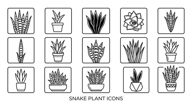 Snake plant icon set featuring various potted sansevieria illustrations with decorative patterns for interiors.