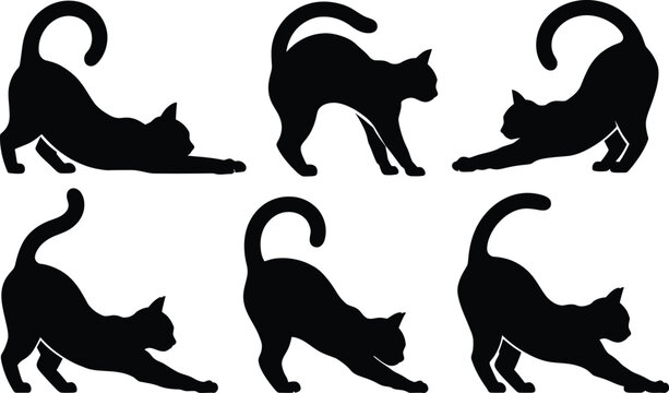 Black cat silhouettes stretching and arching backs set with silhouette, domestic