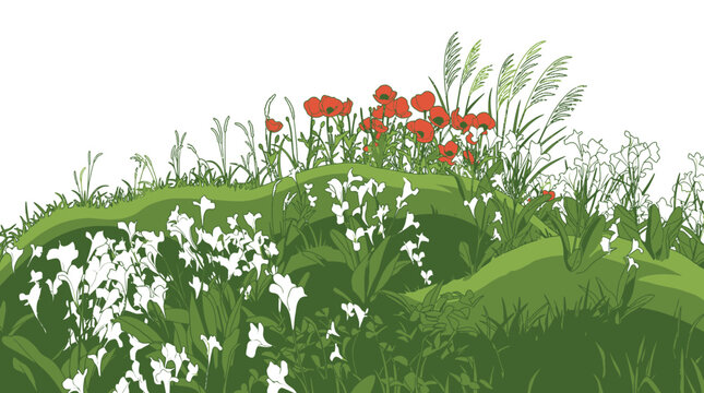 Illustration vectorielle d'une colline verdoyante orn&eacute;e de coquelicots rouges &eacute;clatants et de fleurs blanches printani&egrave;res sur un fond blanc &eacute;pur&eacute; pour un design naturel.