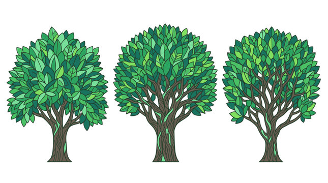 Conjunto de tres &aacute;rboles estilizados con follaje verde denso y troncos marrones, ilustrados en un estilo gr&aacute;fico plano sobre un fondo blanco aislado para dise&ntilde;o.