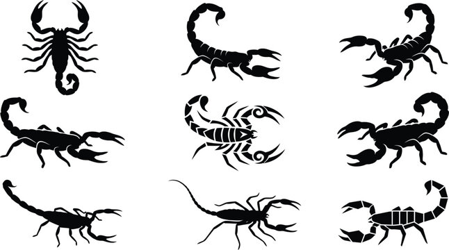 Scorpion silhouette collection, venomous arachnid mascot vector set, predatory desert wildlife symbols, dangerous scorpion stinging pose icons isolated