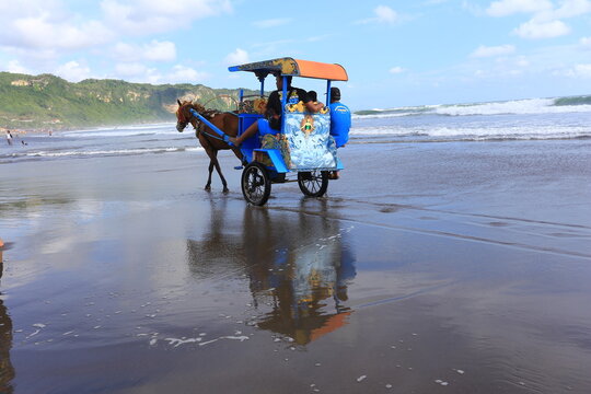 July 4 2026 Yogyakarta Indonesia Traditional Blue and Orange Horse Carriage Moving on Wet Sand of Parangtritis Beach