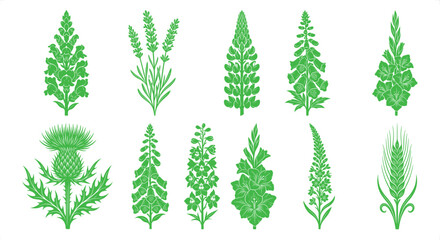 Green botanical wildflower silhouettes, set of 11 floral plant icons in EPS format, organic garden herb and meadow flower illustrations for eco branding © Graphic Seller
