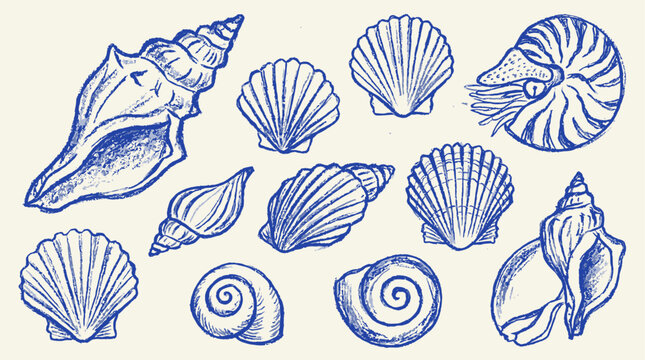 Minimalist Artistic Illustration of Blue Ocean Seashell Collection Contemporary Beach Art Isolated on White Background Sketched in Expressive Chalk and Charcoal Texture