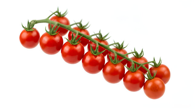 Branch of Fresh Red Cherry Tomatoes Isolated on White Background