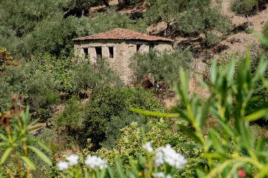 2024-grece-0775