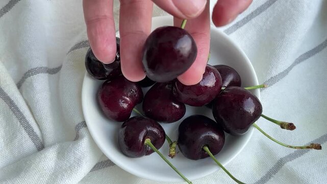 A hand picking up and taking a bite of a fresh dark red cherry