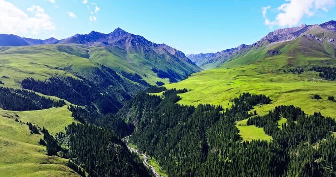 Aerial view of a magnificent lush green mountain valley and fir forest in Xinjiang, China