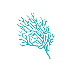 Fototapeta premium Blue seaweed icon isolated sea coral anemone plant icon. Vector galaxy corals Galaxea sp. acropids, aquarium organism. Sea coral, underwater polyp growing in deep sea waters, gorgonian aquatic plant