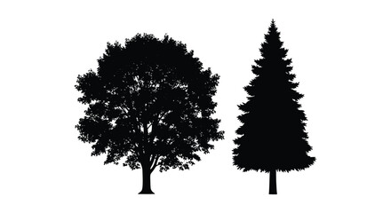 Tree Silhouettes Deciduous And Evergreen Black On White Background © Urmi512