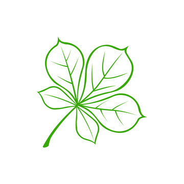Horse chestnut leaf outline silhouette isolated plant. Vector California or ohio Buckeye verdant leafage