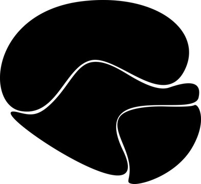 Abstract amoeba shape with fluid silhouettes and biomorphic geometry.