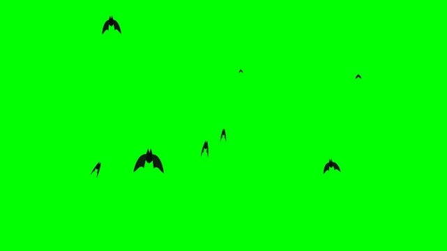 Multiple bats flying in the night sky with a green background and scattered clouds.