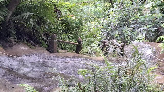 Stunning natural white limestone cascades at Bua Tong Sticky Waterfalls in a lush forest setting, Chiang Mai, Thailand.