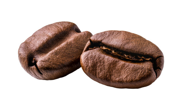Two roasted coffee beans with rich brown color and textured surface