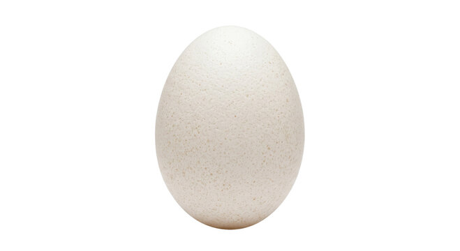 Single large ostrich egg with textured shell isolated on white background