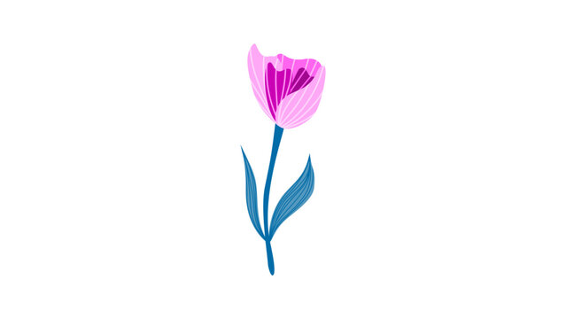 Colorful Flower Vector Illustration