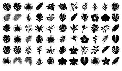 tropical, monstera, palm, fig, leaves, jungle, botanical, foliage, rainforest, exotic, flower, fern, banana, philodendron, bamboo, orchid, hibiscus, heliconia, plumeria, silhouette, vector, illustrati © MdArif