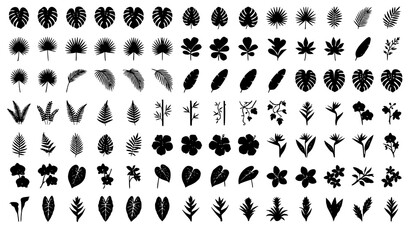 monstera, tropical, jungle, palm, leaves, botanical, foliage, rainforest, flower, fern, banana, philodendron, orchid, hibiscus, anthurium, plumeria, bamboo, branch, exotic, nature, vector, illustratio © MdArif