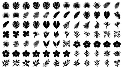 tropical, leaves, monstera, palm, fig, jungle, botanical, foliage, leaf, silhouette, rainforest, fern, philodendron, banana, bamboo, hibiscus, orchid, plumeria, heliconia, exotic, vector, illustration © MdArif