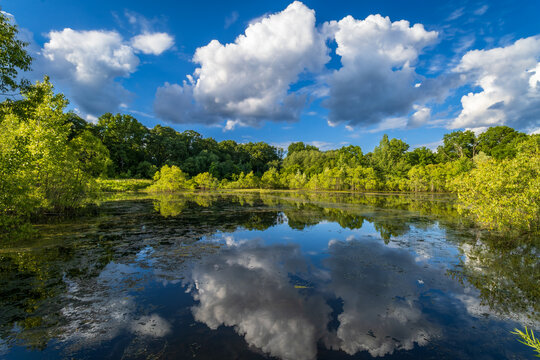 Clouds reflections in Ontario calm pond with a blue sky, mirrored perfectly.